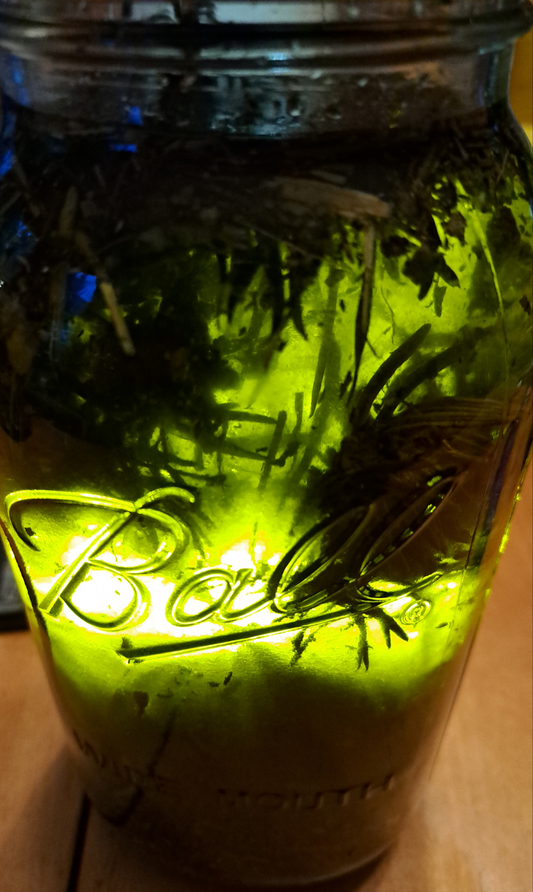 Yuza Yuza Oil